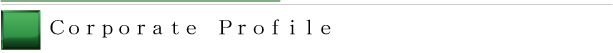 Coporate Profile